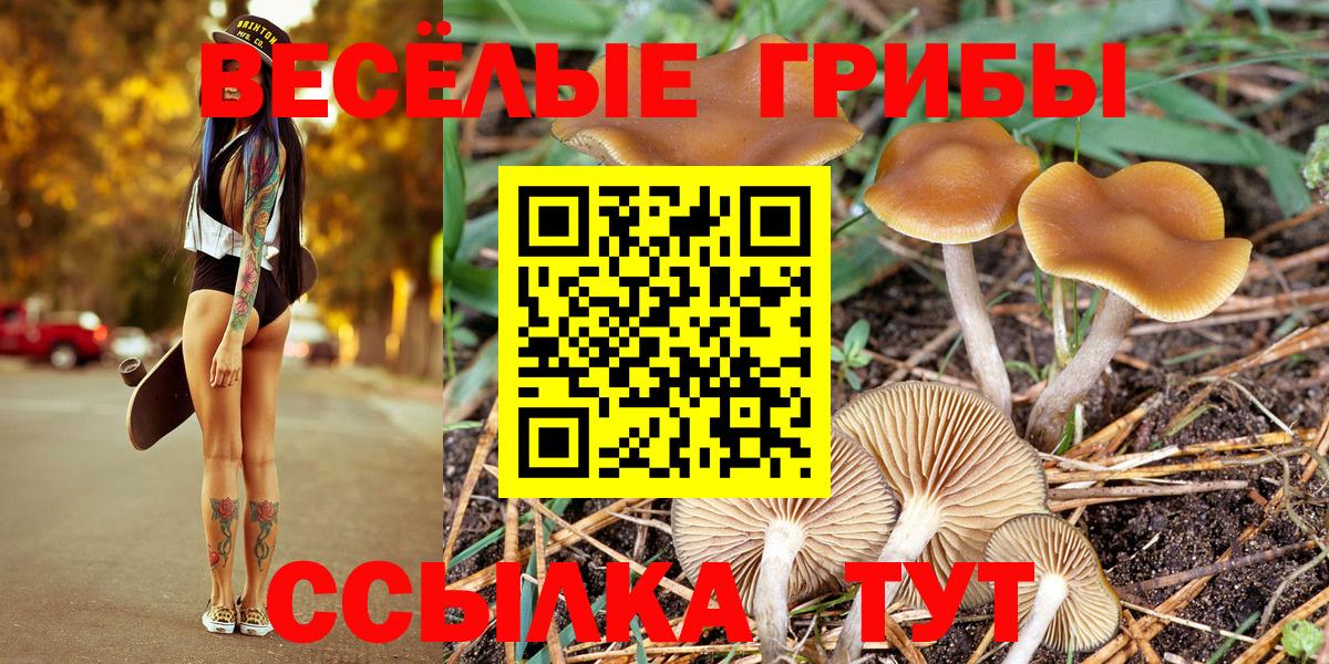 Галлюциногенные грибы мухоморы Новочебоксарск